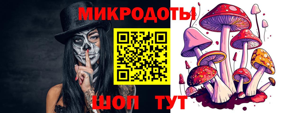 Казань  где купить   Псилоцибиновые грибы GOLDEN TEACHER  Вход с VPN  Галлюциногенные грибы Psilocybine cubensis 